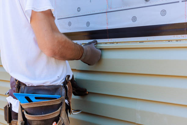 Best Fascia and Soffit Installation  in USA